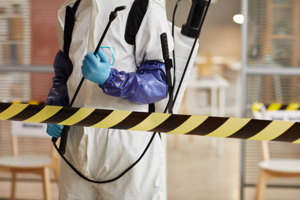 Professional Sewage Cleanup technician working in Hagarville, AR